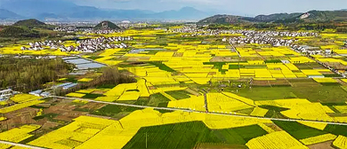 汉中市-勉县-温泉镇-刘家山村·刘家山（油菜花海）风景旅游区