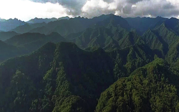 汉中市-留坝县-摩天岭国家级自然保护区 