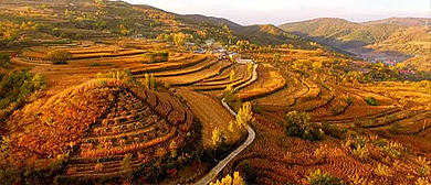 铜川市-宜君县-哭泉镇-哭泉旱作梯田（农业生态博物馆）风景旅游区