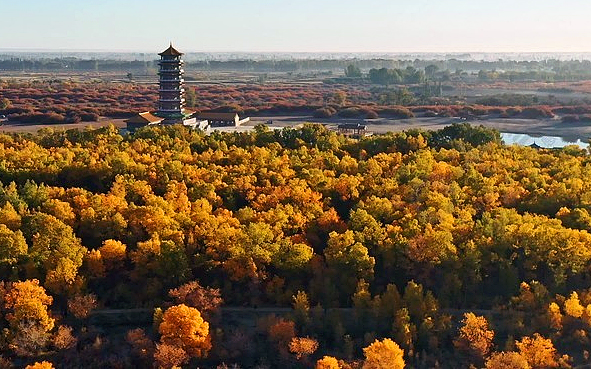 酒泉市-金塔县-金塔沙漠胡杨林（拦河湾国家沙漠公园）风景旅游区|4A