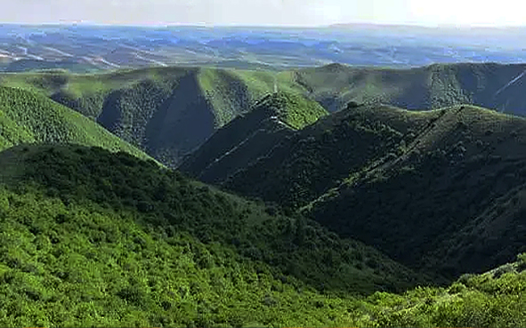 中卫市-海原县-南华山国家级自然保护区