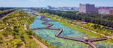 吴忠市-利通区-上桥镇-牛家坊村·风景旅游区