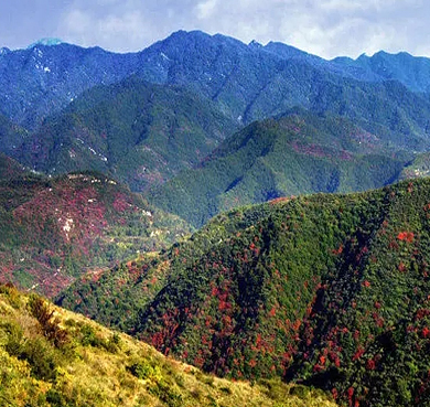 运城市-永济市-中条山国家森林公园