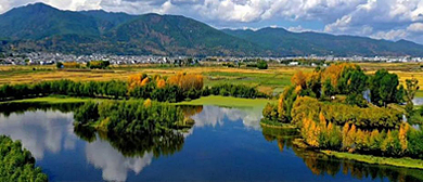 大理州-剑川县-剑湖湿地公园·风景旅游区