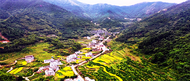 南宁市-宾阳县-陈平镇-名山村·风景旅游区