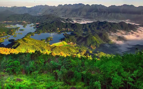 防城港市-防城区-金花茶国家级自然保护区