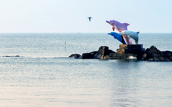 钦州市-钦南区-三娘湾海滨（国际海豚公园）风景旅游区|4A