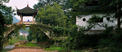 金华市-武义县-熟溪街道-郭洞村