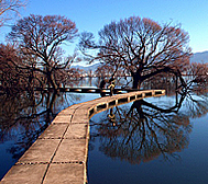 大理州-鹤庆县-云鹤镇-黄龙潭风景区