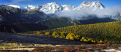 迪庆州-德钦县-白马雪山（5430米·高山杜鹃林）国家级自然保护区