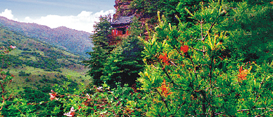 平凉市-华亭县-关山莲花台国家级风景名胜区