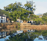 上饶市-婺源县-浙源乡-虹关村·虹关（徽墨古村）风景旅游区