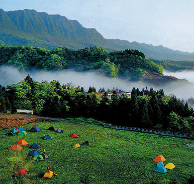 雅安市-雨城区-碧峰峡（熊猫山谷·野生动物园）风景旅游区|5A