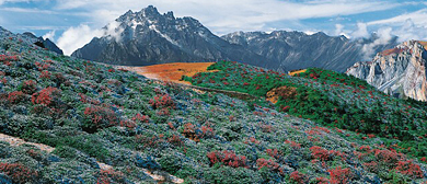 阿坝州-茂县-南新镇-九顶山风景旅游区