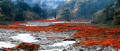 甘孜州-泸定县-新兴乡-贡嘎山·中国红石公园（雅家埂山）风景旅游区