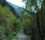 阿坝州-壤塘县-蒲西乡-野人峡谷风景区