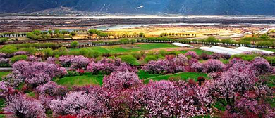 林芝市-巴宜区-林芝镇-卡斯木村·桃花风景区