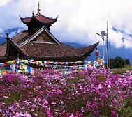 迪庆州-德钦县城-升平镇-飞来寺（梅里雪山观景台）国家森林公园