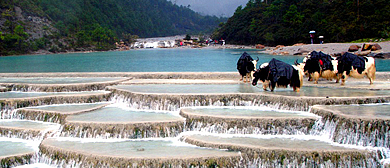 迪庆州-香格里拉市-三坝乡-白地村·白水台风景区