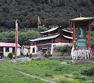 林芝市-巴宜区-林芝镇-达则村（达则寺）桃花风景区