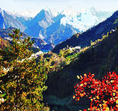 雅安市-芦山县-灵鹫山（灵鹫山寺）自然保护区