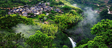 丽水市-龙泉市区-西街街道-下樟村·白云岩风景旅游区