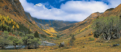 阿坝州-小金县-达维乡-夹金山·木尔寨沟风景区