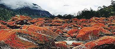 甘孜州-泸定县-新兴乡-贡嘎山·燕子沟（红石滩）风景旅游区 